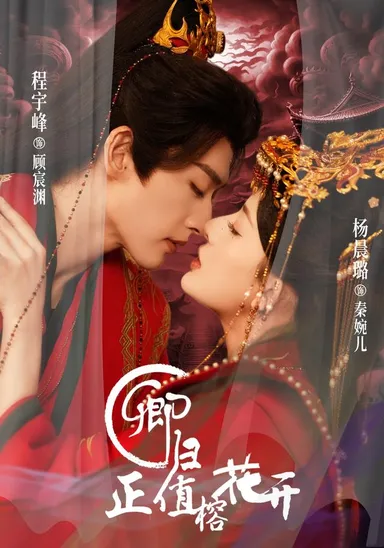 Khanh Về Đúng Lúc Hoa Đa Nở